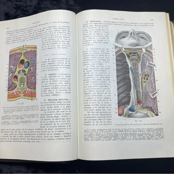 4 Volume Set Tratado De Anatomia Humana Testut Latarjet Human Anatomy 1954 - Picture 10 of 15